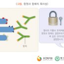 나노시스템 이미지