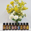 썸헤어 | 파주 운정 1인미용실 염색후 민감두피 / 썸헤어아트 아로마오일 두피케어 후기