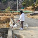 도전리 마을회관 이미지