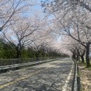 황산공원(황산A) 이미지