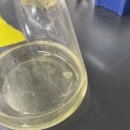 울산다이소구영점 이미지