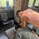 피티타임 이미지