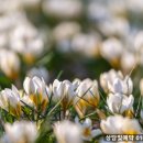 화성천 이미지