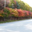 팔공산한의원 이미지