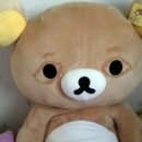 연주하는 브레멘 음악대 | 그래도 사랑하시죠?
