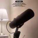 [무시일기] 3월5주차 - 제 MBTI &#39;N&#39;은 &#39;New&#39;인가 봐요