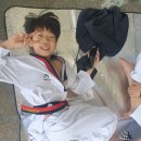 금빛성무태권도장 이미지