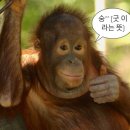 이은경로당 | 혼자 독일 라이프치히(Leipzig) 여행 🎼| 이라고 부르는 낙오기| 음악의 도시💫🌌| DB Navigator 지연 보상...