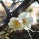 서로.화 이미지