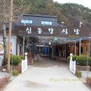 푸른숲식당 이미지