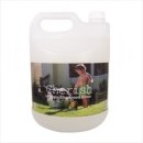 체리쉬퍼피 이미지