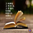 한국인의 문장. 참다운 인생 이미지