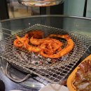 마약꼼장어 이미지