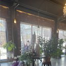 제이스피자 | 원주 제이스22 후기 | 분위기 좋은 레스토랑, 고르곤졸라 + 떡볶이 세트 솔직 후기, 예약필수!!!