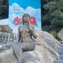 거제지심도 이미지