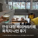 [안성] 저수지뷰 대형 베이커리카페 목적지나인 | 9구역 공간, 우유크림빵, 드라이브 카페 후기