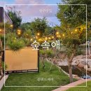 청주 캠핑식당 &#39;숲속애&#39; (친절, 캠핑감성, 청주 맛집, 바베큐, 계곡, 물놀이, 룸, 가격, 예약, 이용시간...