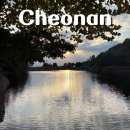 로즈마리 정원 | 천안 단체 펜션 가성비 화인펜션 로즈마리 객실 및 바베큐 후기