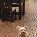 선팜하우스 | 베트남 사파 에코팜하우스 내돈내산 솔직후기 | 에코팜하우스 방갈로 후기 | 베트남 사파 숙소 추천