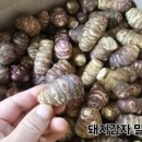 문식농장 이미지