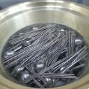 화산장어 이미지