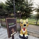 마도근린공원 배드민턴장 | 덕수근린공원 강아지 놀이터 무료 반려견 운동장 이용 후기 (이용시간 주차 정보)