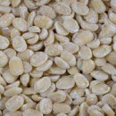 애월의정원 이미지