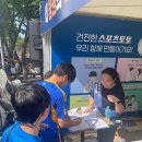 스포츠토토
