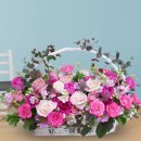 햇살 좋은날 이미지