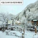 초리꽃펜션 이미지