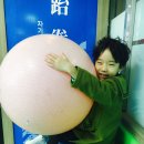 새샘농장 이미지