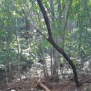 용현목장 이미지