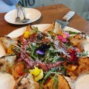 스텔라또 이미지