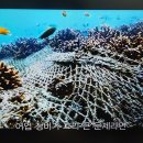 바다산업