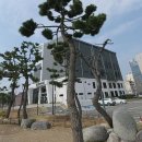 청소년을 위한 꿀잼 음악회 | 아이 가족 연인 친구 모두 함께 즐기는 강릉 원더스카이 후기