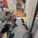 하나로동물약품 | 김포 라피아노 입주청소 | 반려동물 털·기름때·배수구 탈거까지 완벽 시공한 정결한청소 후기