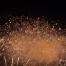 불꽃 | 2025 부산불꽃축제 후기