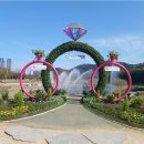 태화강국가정원 이미지