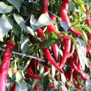 재희농장 이미지