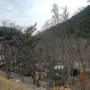 성불산자연휴양림 캠핑장 이미지