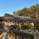 한옥민박 | <내돈내산> 목포 외달도 한옥민박 다녀온 후기