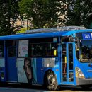 서울대왕초등학교 이미지