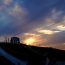 배곧생명공원 이미지