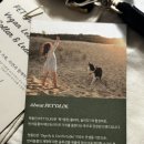 PET39다0587 | 대형견가죽목줄 펫올린 리드줄세트 추천 !강추!