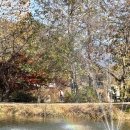경희대학교 평화복지대학원 | 포천국립수목원 근처 주차장 예약 안했다면 나 처럼 해봐요 이렇게