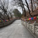 자연속으로 나를 찾아서 | #39 서른아홉번째장. 나를 찾아서 떠나는 여행. 템플스테이(2)