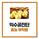 익수한의원 | 익수 공진단 효능 및 부작용 먹는방법 저렴하게 구매하는법