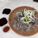 일광여객 | 속초 동명항 오징어난전 11호 : 속초 가볼만한곳 추천 (가격, 시간)