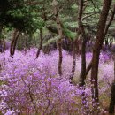 숲길여행