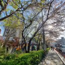 괴정1동할아버지 이미지